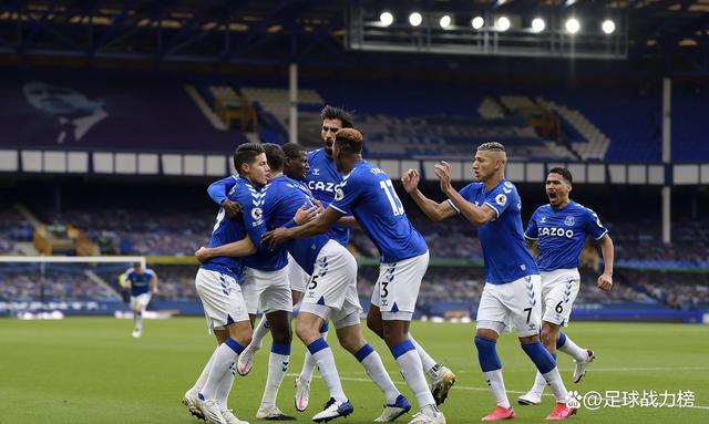 埃弗顿球员内讧，扰乱球队内部秩序的简单介绍